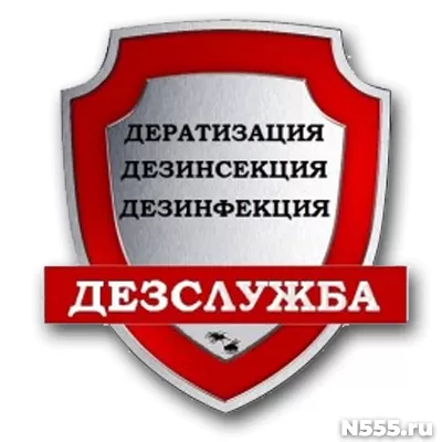 Дезинсекция от тараканов