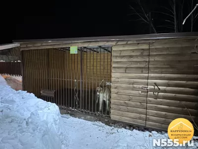 Уличный вольер для собак фото